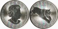 Canada Canada 2017 5 Dollars Lynx 1 Oz Zilver -