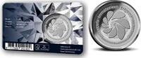 Nederland 2019 Immaterieel erfgoed 'Ambacht van de Diamantwerker' penning in coincard. -
