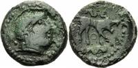 Kelten Bronze Kelten Carnutes Gallien AE au loup Torques Wolf Schlange Nordwestgallien BN 6191