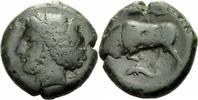 Sizilien Hemilitron Agathokles Syrakus Sizilien AE Hemilitron Kore Stier Delphin CNS 96 SNG ANS 561
