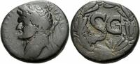 Syrien Bronze Domitian Antiochia ad Orontem Syrien Bronze As SC Lorbeerkranz RPC II 2023