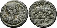 Lydien Bronze Alexander Severus Thyateira Lydien Lupa Romana Wölfin Romulus Remus BMC 128